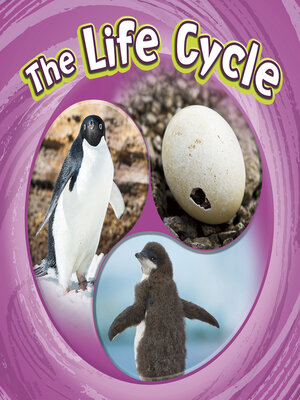 cover image of The Life Cycle